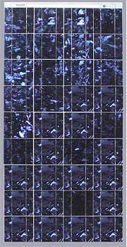 BP Solar BP380J Solar Panels