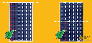 REC TwinPeak shade tolerant