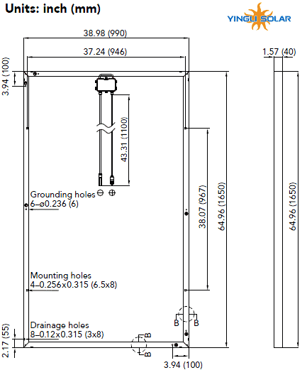 YL250P-29b review