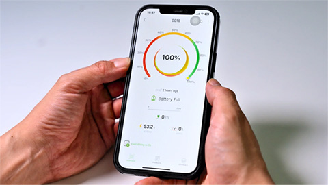 Fortress Monitoring App Display