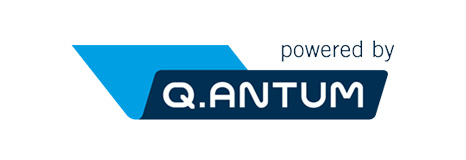 QCELLS Q.ANTUM Technology