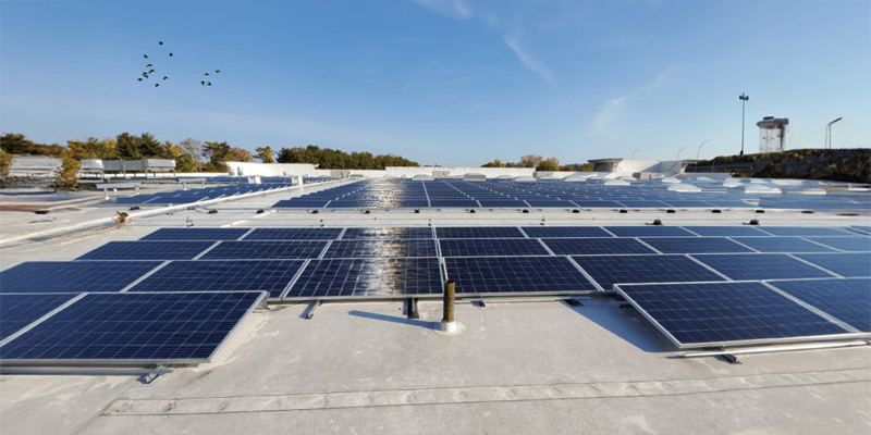 Flat Roof Systems